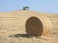 mulino nella campagna della Magona